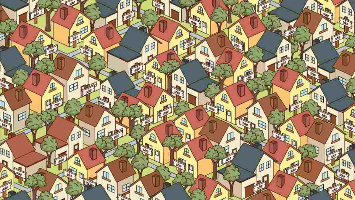 Can you spot a hidden house for sale in this optical illusion in 9 seconds? 